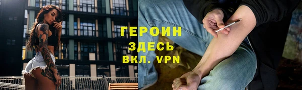 прущие грибы Аркадак