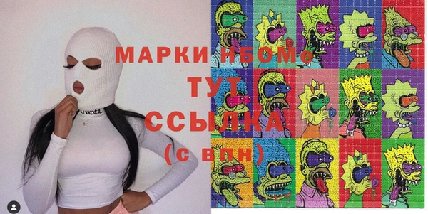 прущие грибы Аркадак