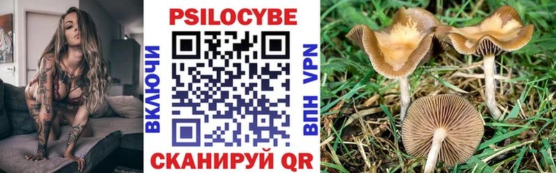 Галлюциногенные грибы Magic Shrooms  Лихославль 